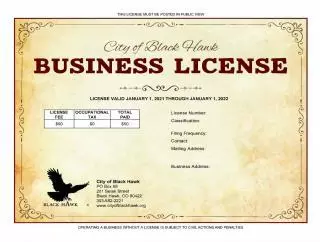 Business License