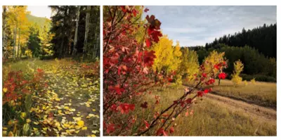 Quartz Valley Trail