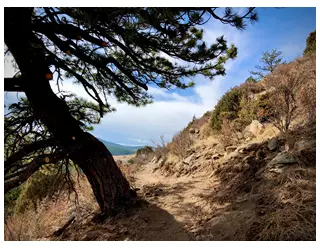 Summit Trail