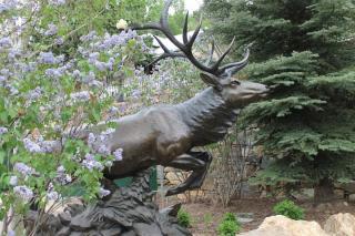 Headed For High Country Sculpture