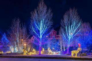 Holiday Lights