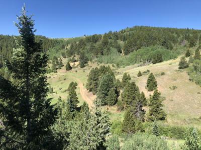 Nelson Ranch