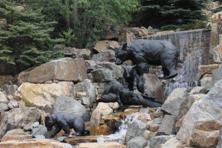 Bear family playing on rocks